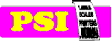 PSI Norge AS