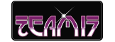 Team 17